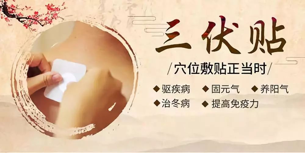 關(guān)于三伏貼，你了解多少呢？