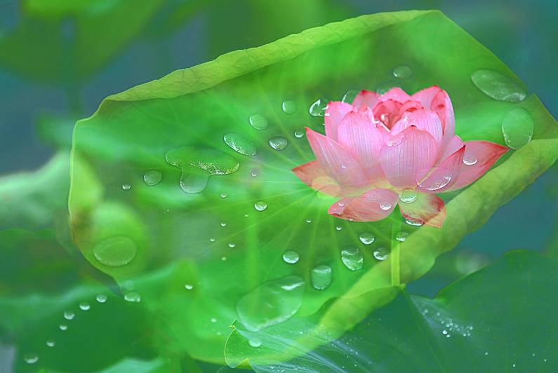 醫(yī)療器械網(wǎng)：失眠該怎么辦？